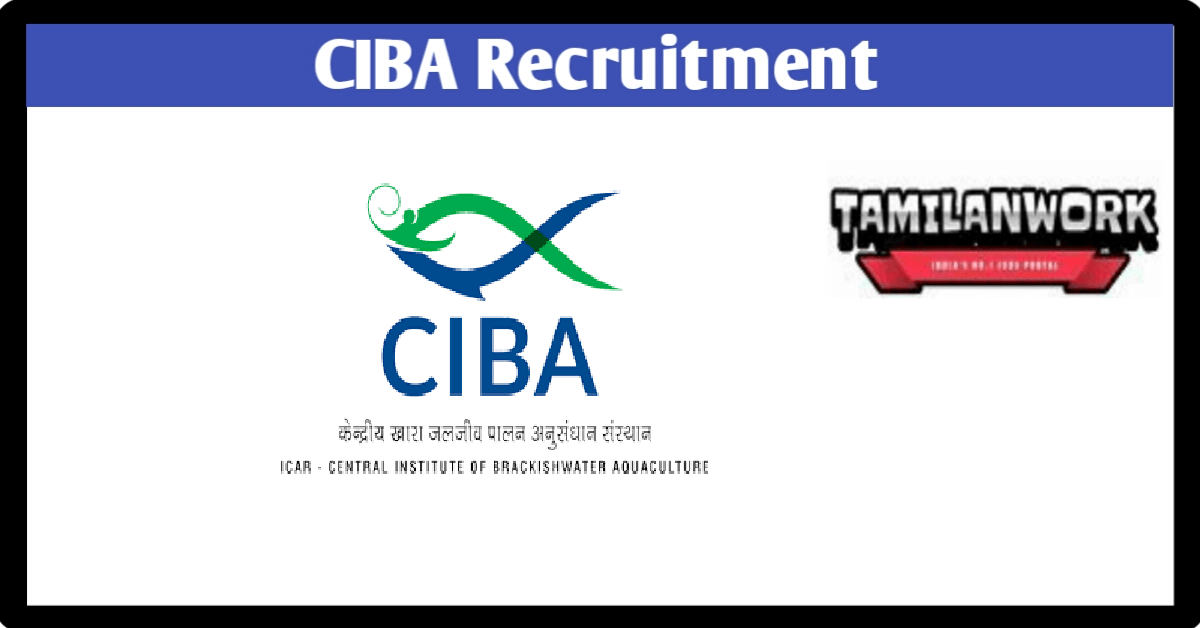 CIBA Recruitment
