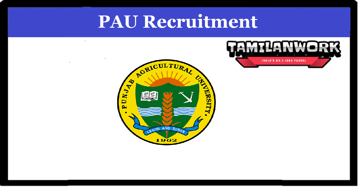 Punjab Agricultural University Recruitment