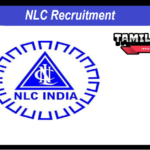 NLC Industrial Trainee Recruitment 2024 Apply 239 IT Posts NLC Apprentice Recruitment 2025