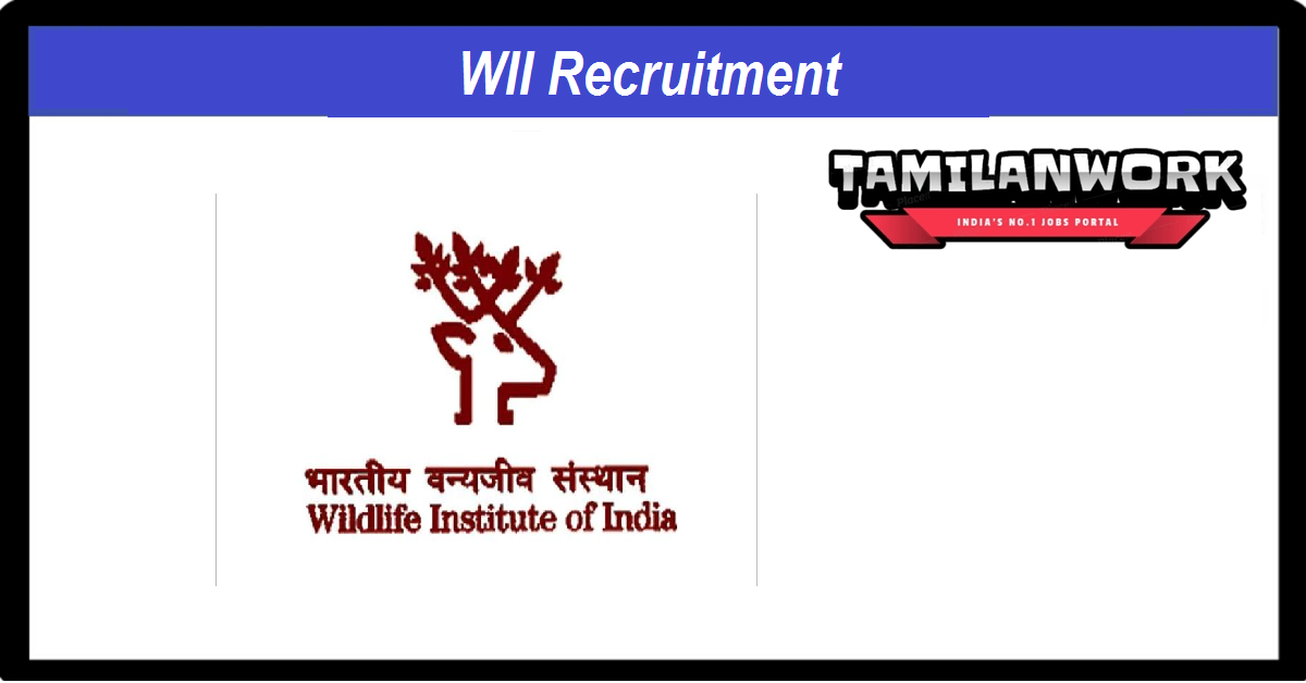 WII Recruitment