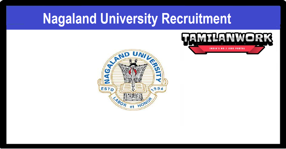 Nagaland University Recruitment