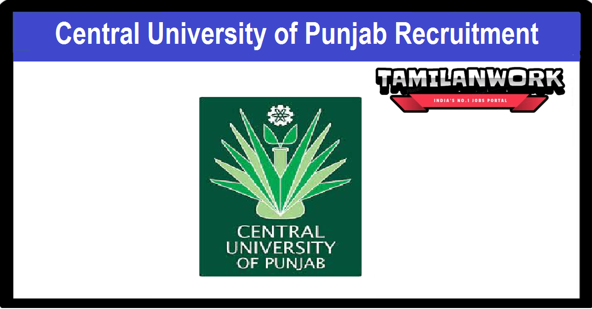 Central University of Punjab Recruitment 