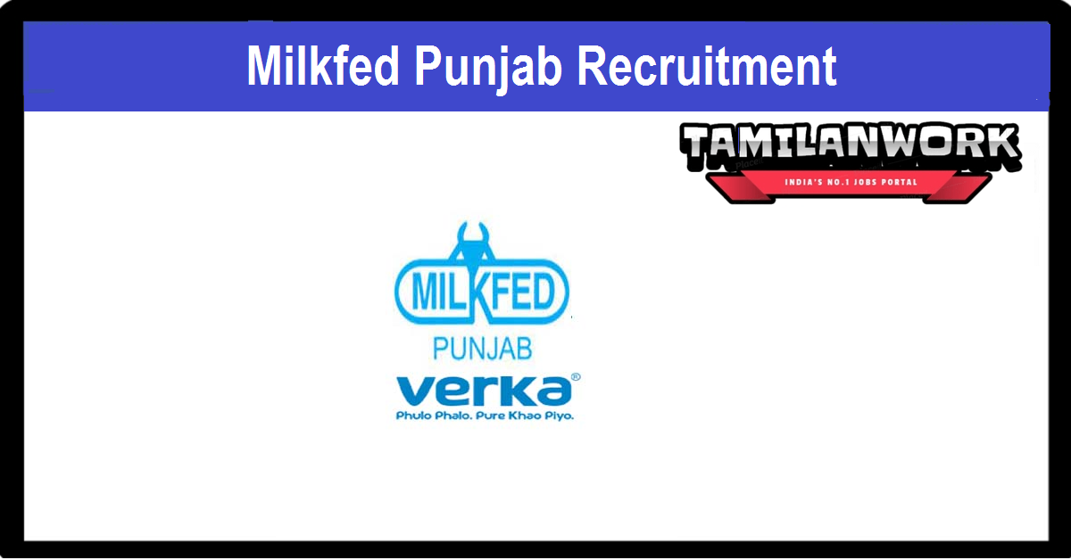 MILKFED Punjab Recruitment