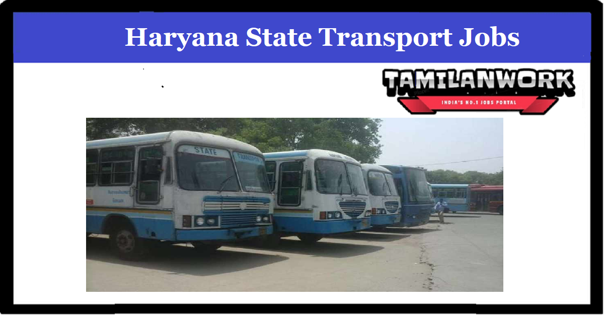 Haryana State Transport Recruitment