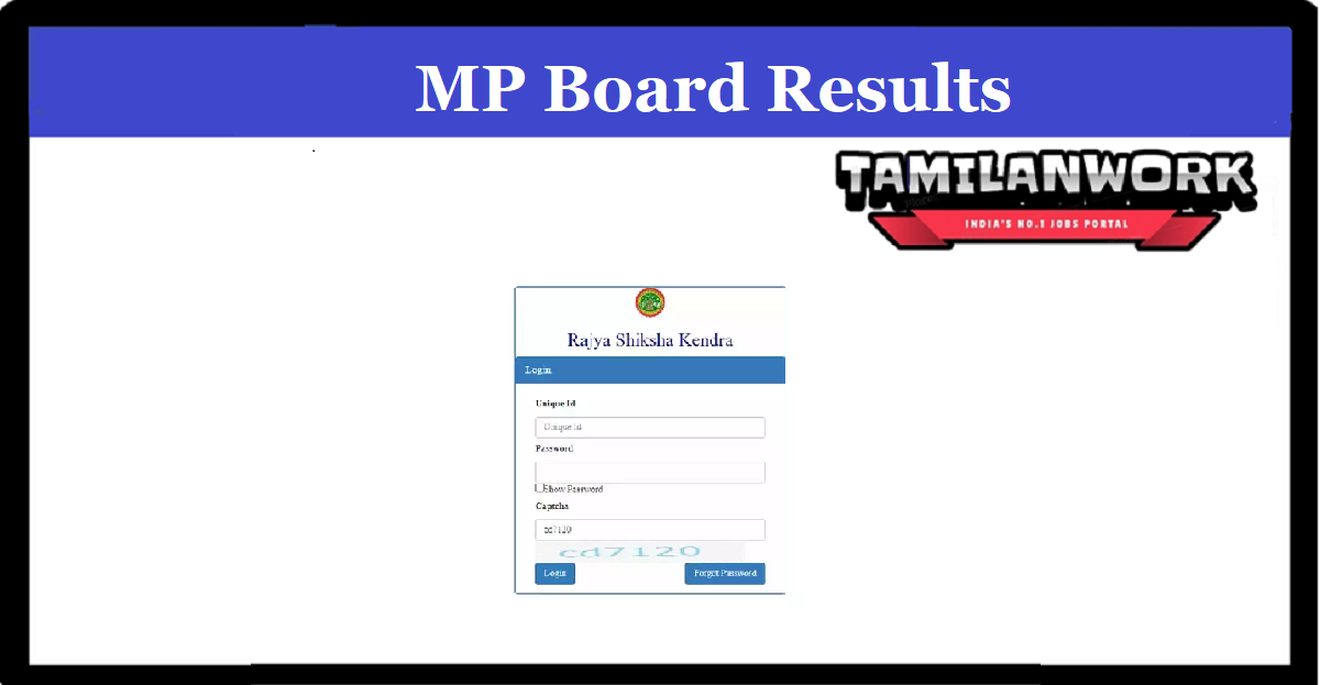 MP board 5th 8th Result