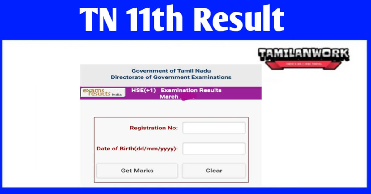 TN 11th Result 2023