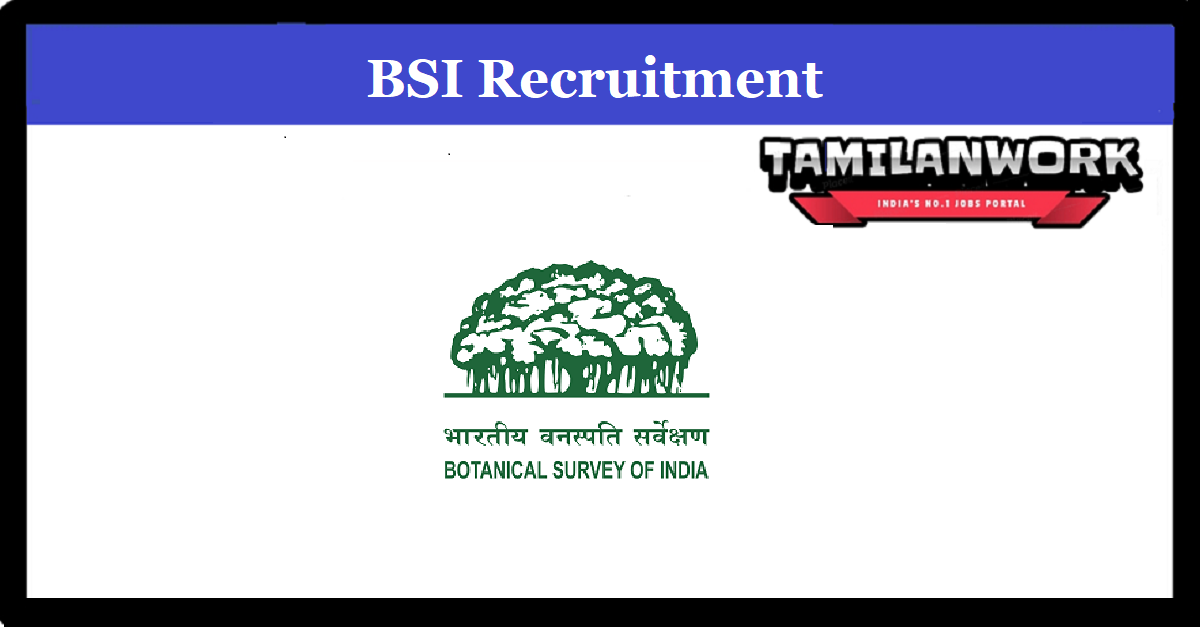 BSI Recruitment