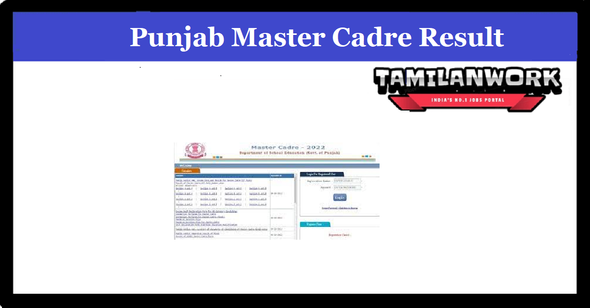 Punjab Master Cadre Teacher Result 2022