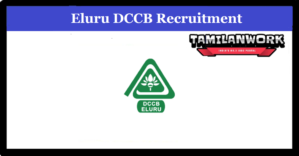 Eluru DCC Bank Recruitment