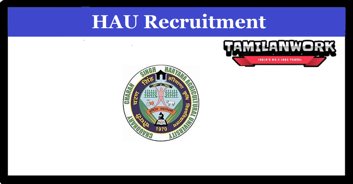 HAU Recruitment