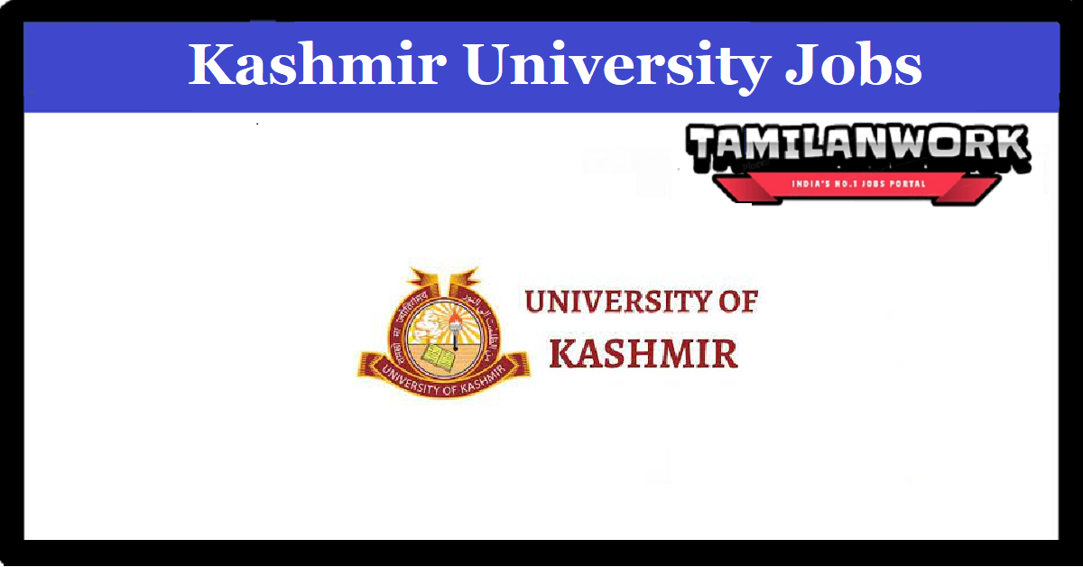 Kashmir University Recruitment
