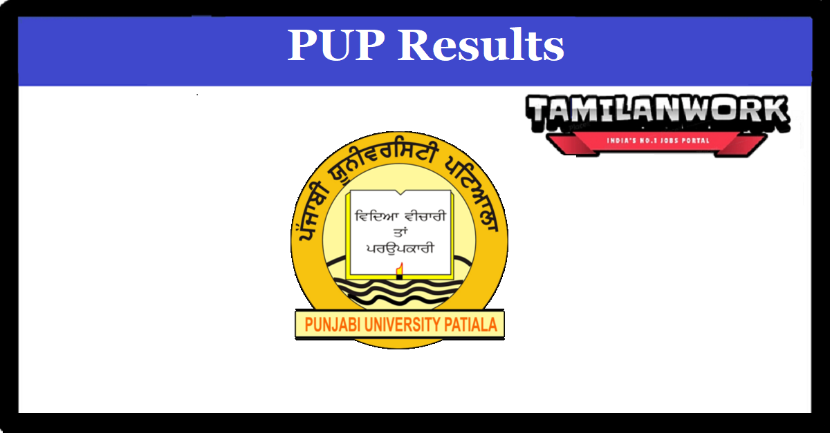 Punjabi University Patiala BA Result