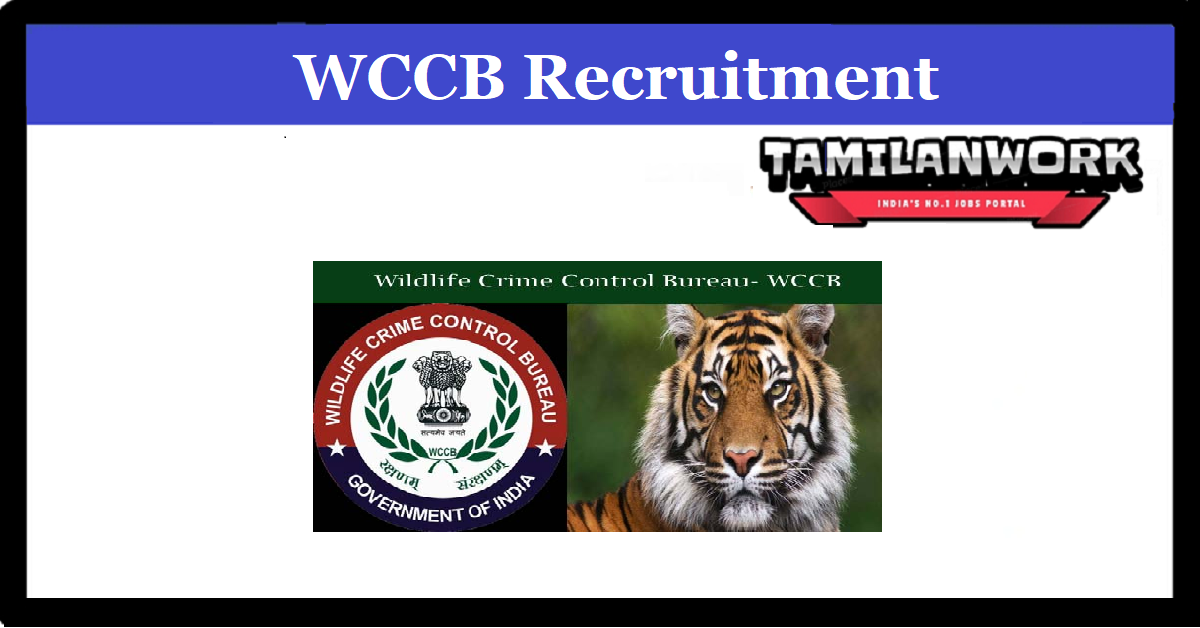 WCCB Recruitment