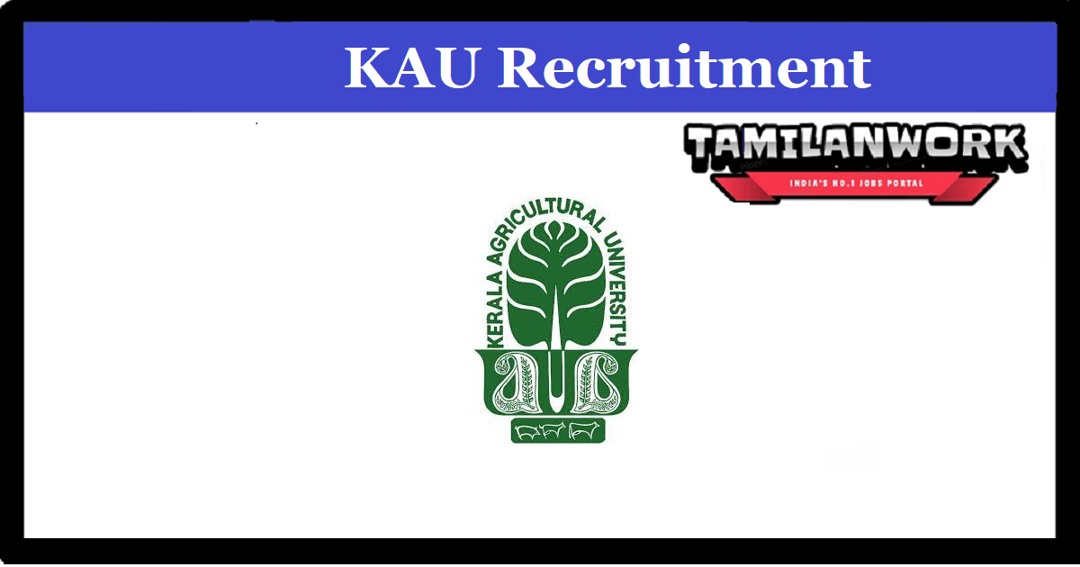 KAU Recruitment