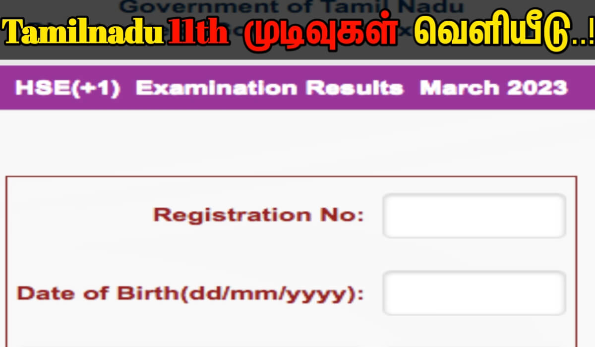 TN 11th Result 2023