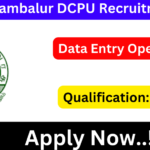 Perambalur DCPU Recruitment 2024 Apply Data Entry Operator Posts Perambalur DCPU Recruitment