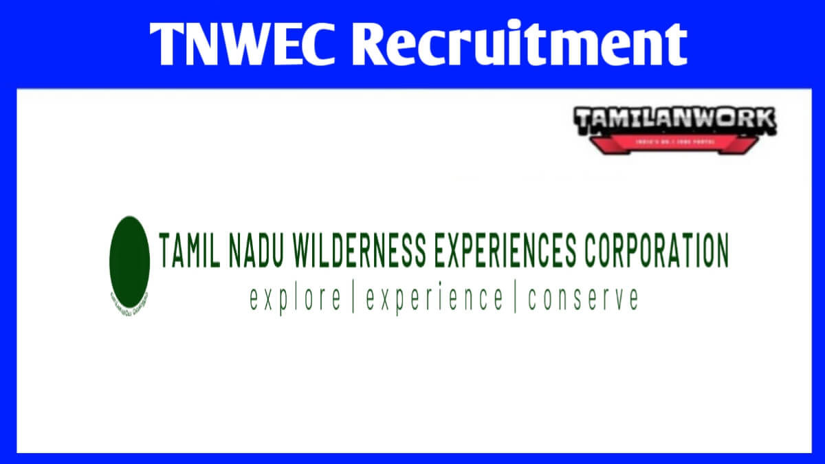 TNWEC Recruitment