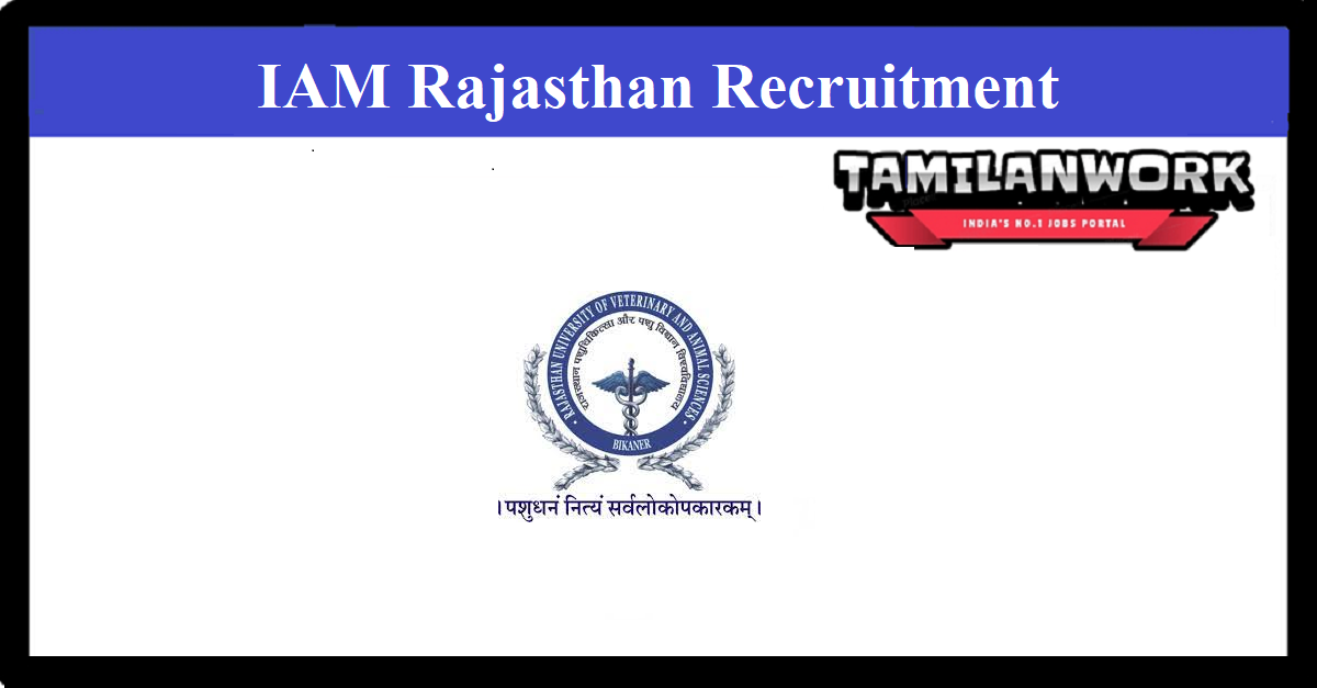 IAM Rajasthan Recruitment