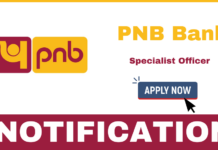 PNB Recruitment 2025 Apply 750 Local Bank Officer Jobs PNB Recruitment 2025