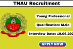 TNAU Recruitment 2025
