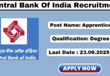 Central Bank of India Apprentice Recruitment 2025