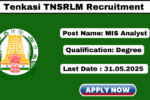 TNSLRM Tenkasi Recruitment 2025