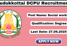 Pudukkottai DCPU Recruitment 2025
