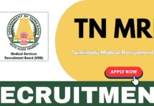 TN MRB Recruitment 2025