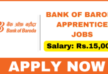 Bank of Baroda Recruitment 2025 Apply 2700 Apprentice Jobs Bank of Baroda Recruitment 2025
