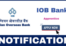 IOB Apprentice Recruitment 2025