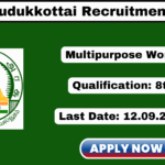 DHS Pudukkottai Recruitment 2025 Apply Multipurpose Worker Jobs DHS Pudukkottai Recruitment 2025
