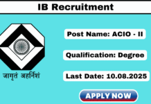 IB Recruitment 2025