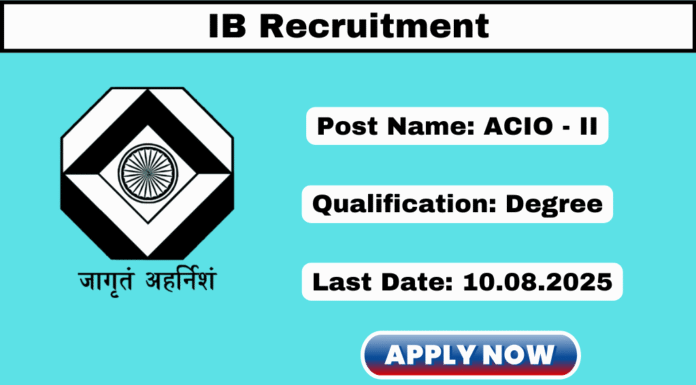 IB Recruitment 2025