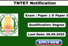 TNTET Notification 2025 Apply Paper 1 and Paper 2 Exams
