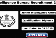 IB Junior Intelligence Officer Recruitment 2025