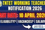 TNTET Working Teachers Notification 2026
